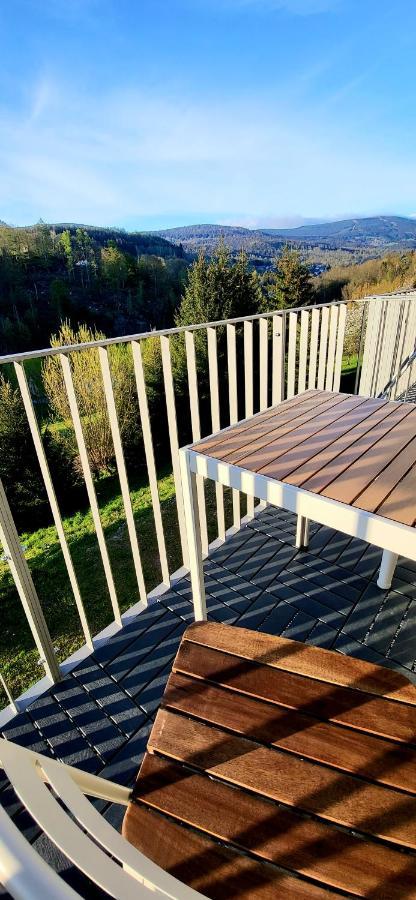 Loft Rezidence Vista Apartment Rokytnice nad Jizerou Exterior foto